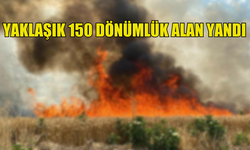 VADİLİ'DE YAKLAŞIK 150 DÖNÜMLÜK ALAN YANDI