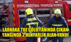 LARNAKA TUZ GÖLÜ YANINDA ÇIKAN YANGINDA 2 HEKTARLIK ALAN KÜL OLDU