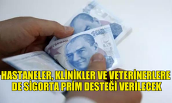 SİGORTA PRİM DESTEĞİ VERİLECEK İŞ YERLERİ ARASINA HASTANELER, KLİNİKLER VE VETERİNERLERE DE ALINDI