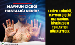 TABİPLER BİRLİĞİ, MAYMUN ÇİÇEĞİ HASTALIĞINA İLİŞKİN ZOOM TOPLANTISI DÜZENLEYECEK