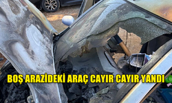 BOŞ ARAZİDEKİ ARAÇ CAYIR CAYIR YANDI