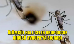 ÖLÜMCÜL HALE GELEN OROPOUCHE VİRÜSÜ AVRUPA'YA SIÇRADI: SİNEK ISIRIĞIYLA BULAŞIYOR