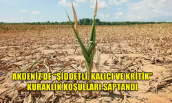 AKDENİZ’DE “ŞİDDETLİ, KALICI VE KRİTİK” KURAKLIK KOŞULLARI SAPTANDI