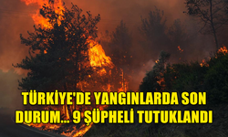 TÜRKİYE'DE YANGINLARDA SON DURUM... 9 ŞÜPHELİ TUTUKLANDI