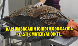 KAPLUMBAĞANIN İÇİNDEN ÇOK SAYIDA PLASTİK MATERYAL ÇIKTI…