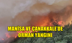 MANİSA VE ÇANAKKALE’DE ORMAN YANGINI