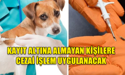 İSKELE BELEDİYESİ SINIRLARINDAKİ KÖPEKLER KAYIT ALTINA ALTINA ALINACAK MİKROÇİP TAKILACAK