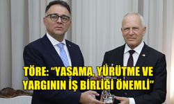 TÖRE: “YASAMA, YÜRÜTME VE YARGININ İŞ BİRLİĞİ ÖNEMLİ”