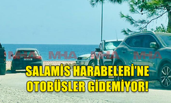 SALAMİS HARABELERİ HAFTASONLARI ZİYARET EDİLEMİYOR