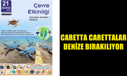 İSKELE SAHİLİNDE BUGÜN CARETTA CARETTALAR DENİZE BIRAKILIYOR