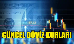 GÜNCEL DÖVİZ KURLARI (7.08.2024)