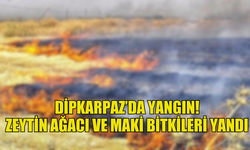 DİPKARPAZ'DA ÇIKAN  YANGINDA  10 DÖNÜM ARAZİ ZARAR GÖRDÜ