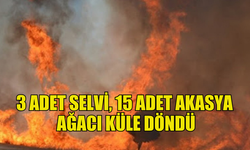 3 DÖNÜMLÜK ARAZİDE BULUNAN 3 ADET SELVİ, 15 ADET AKASYA AĞACI KÜLE DÖNDÜ