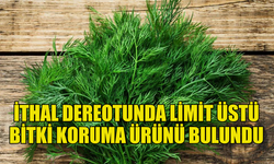 İTHAL DEREOTUNDA LİMİT ÜSTÜ BİTKİ KORUMA ÜRÜNÜ TESPİT EDİLDİ