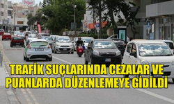 BAZI YASA TASARILARI RESMİ GAZETE’DE YAYIMLANARAK HALKIN BİLGİSİNE SUNULDU