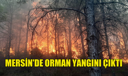 MERSİN'DE ORMAN YANGINI MEYDANA GELDİ