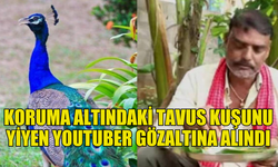 HİNDİSTAN'DA KORUMA ALTINDAKİ TAVUS KUŞUNU YİYEN BİR YOUTUBER GÖZALTINA ALINDI