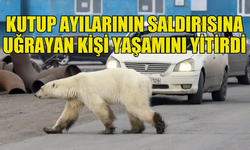 KANADA'DA KUTUP AYILARININ SALDIRISINA UĞRAYAN KİŞİ HAYATINI KAYBETTİ