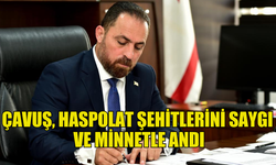 BAKAN HÜSEYİN ÇAVUŞ, HASPOLAT ŞEHİTLERİNİ SAYGI VE MİNNETLE ANDI