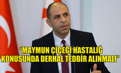 HALKIN PARTİSİ: “MAYMUN ÇİÇEĞİ HASTALIĞI KONUSUNDA DERHAL TEDBİR ALINMALI”