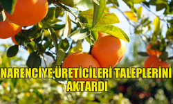 KUZEY KIBRIS NARENCİYE ÜRETİCİLERİ BİRLİĞİ  TALEPLERİNİ AKTARDI