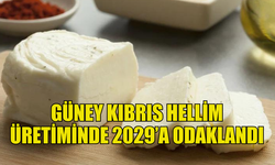 RUM TARIM BAKANLIĞI HELLİM ÜRETİMİNDE 2029’A ODAKLANDI