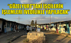 ÇALIŞMA BAKANLIĞI GÜZELYURT’TAKİ NARENCİYE İŞÇİLERİNİN DURUMUYLA İLGİLİ AÇIKLAMA YAPTI