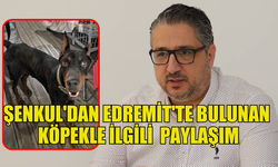 GİRNE BELEDİYE BAŞKANI MURAT ŞENKUL PAYLAŞTI, EVDEN KAÇTIĞI DÜŞÜNÜLEN KÖPEK EDREMİT'TE BULUNDU