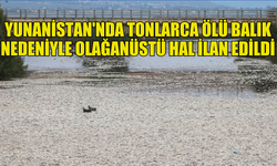 YUNANİSTAN'IN VOLOS KENTİNDE TONLARCA ÖLÜ BALIK NEDENİYLE OLAĞANÜSTÜ HAL İLAN EDİLDİ