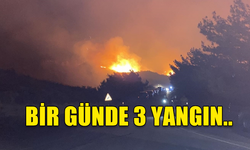 BİR GÜNDE 3 YANGIN MEYDANA GELDİ