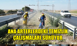 ANA ARTERLERDEKİ TEMİZLİK ÇALIŞMALARI SÜRÜYOR