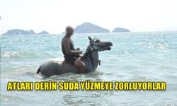 TURİZM ADI ALTINDA HAYVANA EZIYET