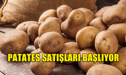 İLKBAHAR PATATES SATIŞLARI YARINDAN İTİBAREN BAŞLIYOR