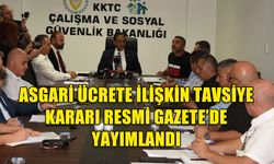 ASGARİ ÜCRETE İLİŞKİN TAVSİYE KARARI RESMİ GAZETE’DE YAYIMLANDI