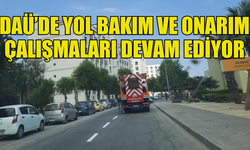 DOĞU AKDENİZ ÜNİVERSİTESİ'NDE YOL BAKIM VE ONARIM ÇALIŞMALARI DEVAM EDİYOR