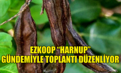 EZKOOP “HARNUP” GÜNDEMİYLE TOPLANTI DÜZENLEYECEĞİNİ DUYURDU