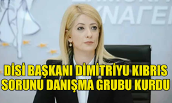 DİSİ BAŞKANI ANNİTA DİMİTRİYU KIBRIS SORUNU DANIŞMA GRUBU KURDU