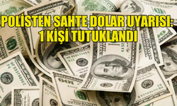 SAHTE 100 DOLAR PİYASAYA SÜREN ZANLI GİRNE’DE YAKALANDI