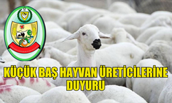 KÜÇÜKBAŞ HAYVAN ÜRETİCİLERİ EK BEYANDA BULUNABİLECEK