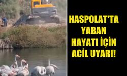 HASPOLAT'TA DOĞA İÇİN ACİL ÇAĞRI: YABAN HAYATINA ÖNEM VERİN!