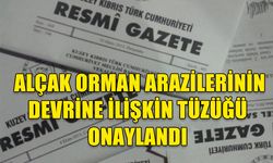 BAKANLAR KURULU, ALÇAK ORMAN ARAZİLERİNİN DEVRİNE İLİŞKİN TÜZÜĞÜ ONAYLADI