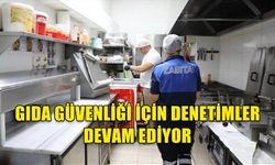 DEĞİRMENLİK'TE GIDA GÜVENLİĞİ DENETİMLERİ SÜRÜYOR