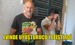 EVİNDE UYUŞTURUCU YETİŞTİREN ŞAHIS TUTUKLANDI