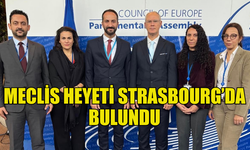 MECLİS HEYETİ STRASBOURG’DA TMK HAKKINDA TEMASLARDA BULUNDU