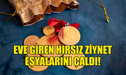 GÖNYELİ'DE EVE GİREN HIRSIZ ZİYNET EŞYALARINI  ÇALDI!