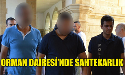 ORMAN DAİRESİ'NDE SAHTECİLİK SKANDALI! 3 KİŞİ TUTUKLANDI...