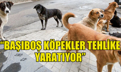 LEFKE ÇEVRE VE EKOLOJİ DERNEĞİ: “BAŞIBOŞ KÖPEKLER TEHLİKE YARATIYOR”