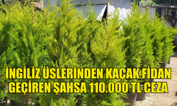 KAÇAK 40 JAKARANDA VE 30 SERVİ FİDANI ELE GEÇİRİLDİ