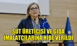 SÜT ÜRETİCİLERİ VE GIDA İMALATÇILARINA AB FİNANSMANLI HİBE DESTEĞİ