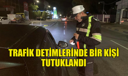 LEFKOŞA İLE İSKELE'DE ASAYİŞ VE TRAFİK DENETİMİ YAPILDI